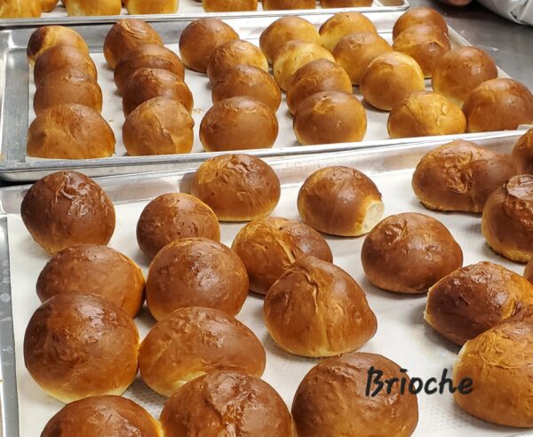 Brioche